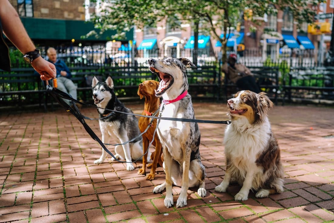 Group walks